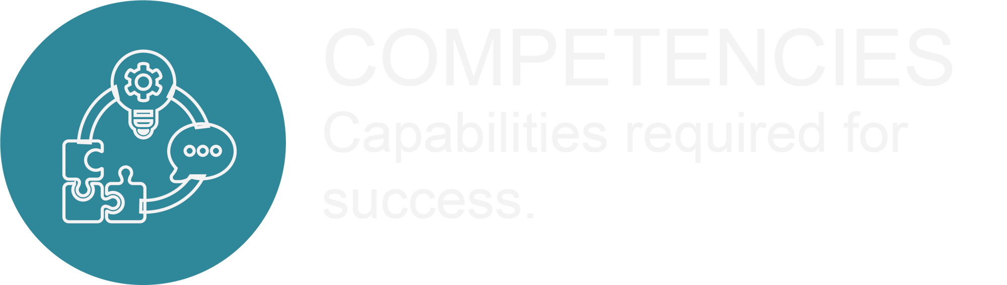 Competencies Image-2